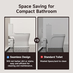 FLO900 Dreamsani 900W Macerator Pump