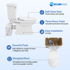 LSFLO500 Toilettes à macération Dreamsani 500W